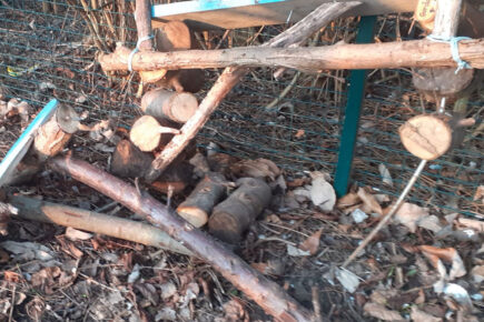 Vandals destroy fairy houses along much-loved York family trail