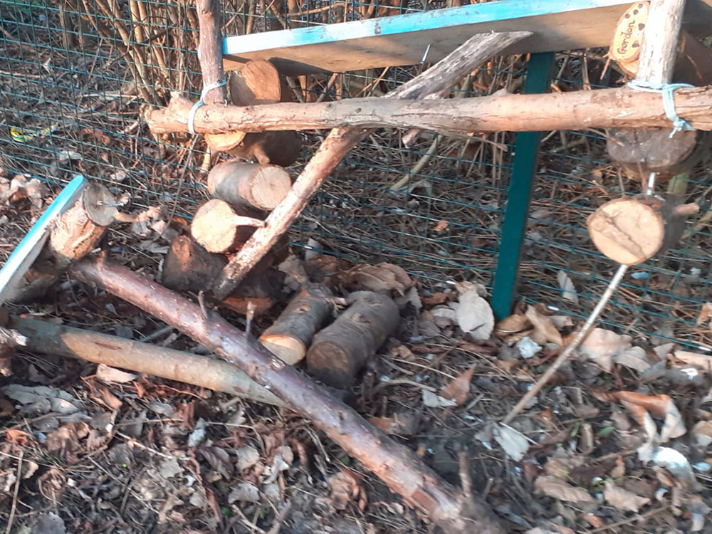 Vandals destroy fairy houses along much-loved York family trail