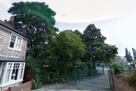 Firefighters rescue York youth stuck up a tree