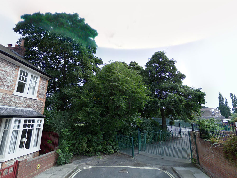 Firefighters rescue York youth stuck up a tree