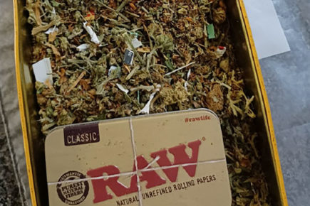 Drugs warrant executed in York after tip-off – Two arrested