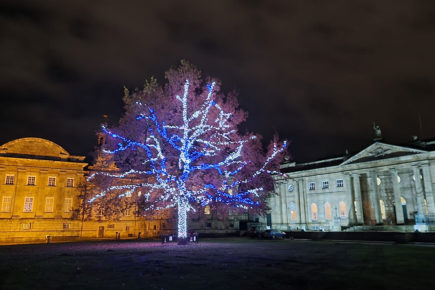 Two more things not to miss at the York Ice Trail this weekend