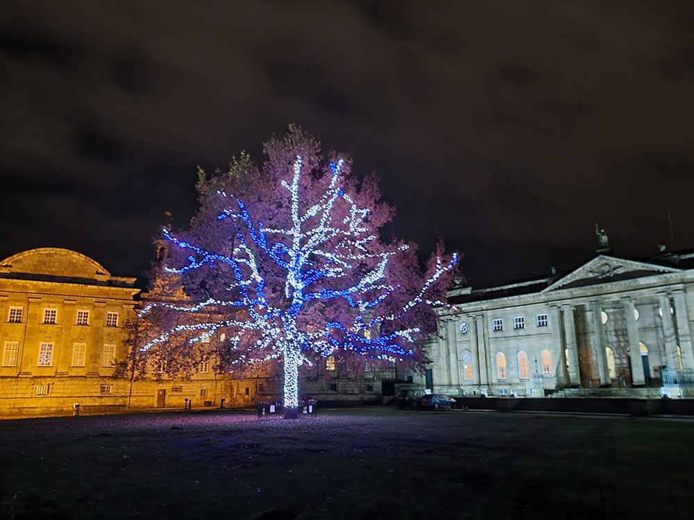 Two more things not to miss at the York Ice Trail this weekend