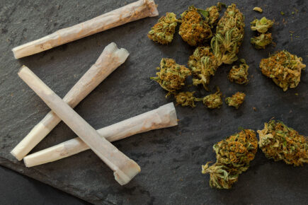 Aunt and nephew set out to be York’s next big drug dealers – but fail to make a penny
