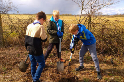 Scouts dig in to plant Jubilee trees at York museum