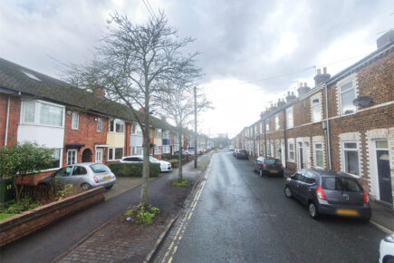 Tree set on fire by York youths