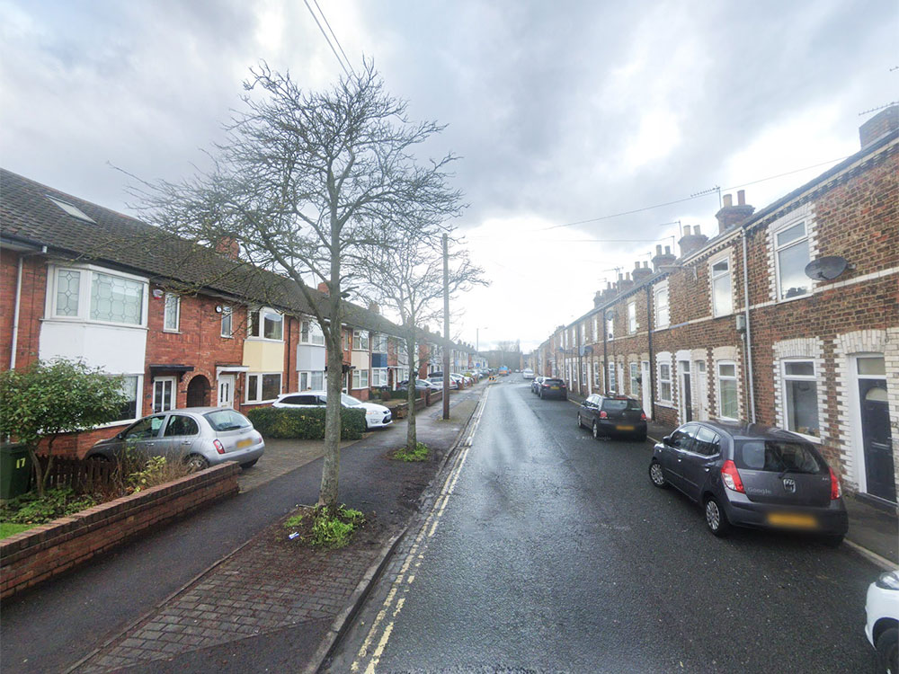 Tree set on fire by York youths