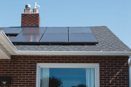 York firefighters rescue bird trapped under solar panels