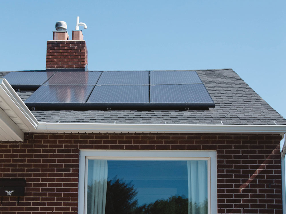 York firefighters rescue bird trapped under solar panels