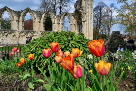 Beautiful blooms by bus! First York employees are behind this fab floral display