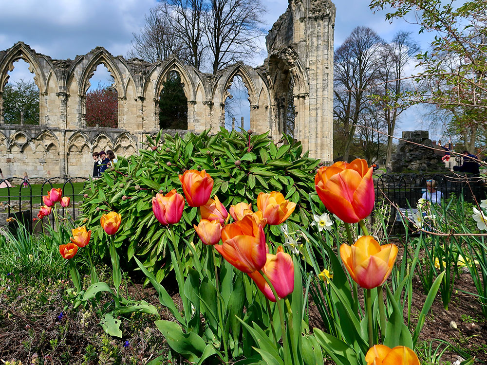 Beautiful blooms by bus! First York employees are behind this fab floral display