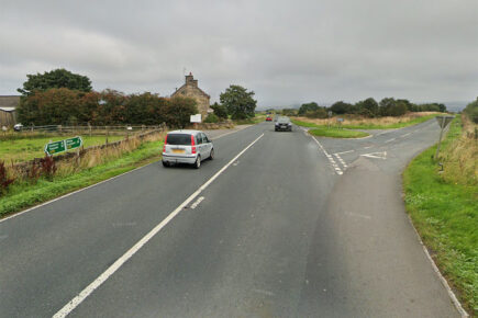 Horse has to be put down after two-vehicle crash