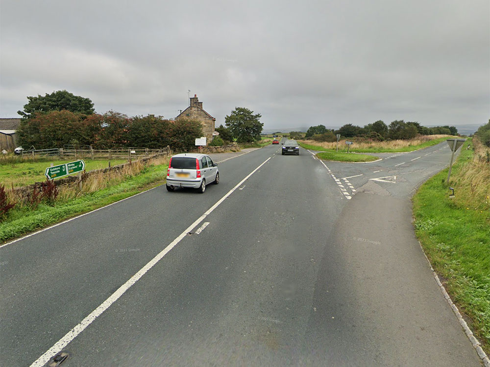 Horse has to be put down after two-vehicle crash