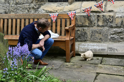 Watch: TV’s Yorkshire Vet unveils the sculpture of Gerald the York Minster cat in its final resting place