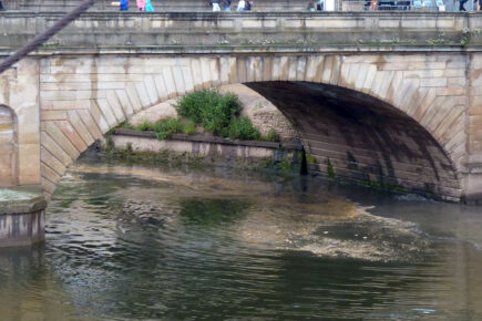 Councillors call on Yorkshire Water to ‘clean up their act’ – and pay a sewage tax