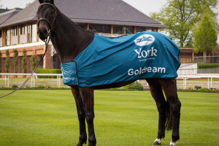 Meet York Racecourse’s new ambassador