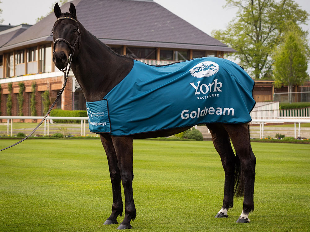 Meet York Racecourse’s new ambassador