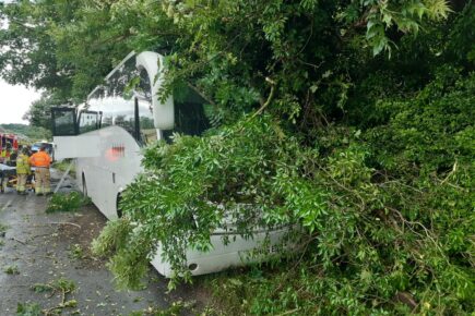 Coach driver escapes serious injury after accident