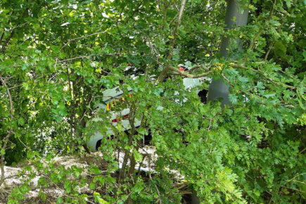 Car ends up in tree after crash