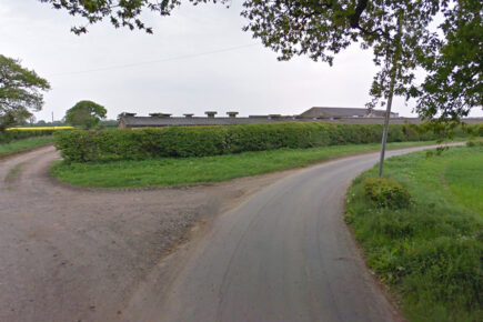 Car crashes into hedge setting it on fire