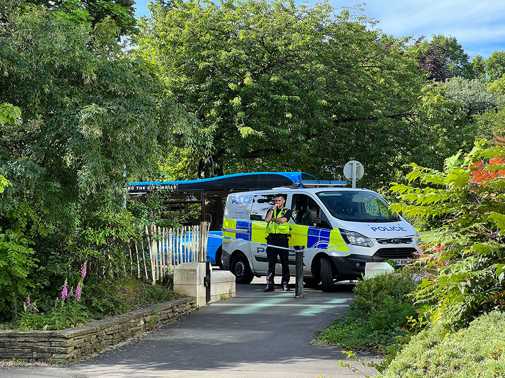 Updated: Man, 18, arrested over serious sexual assault in York
