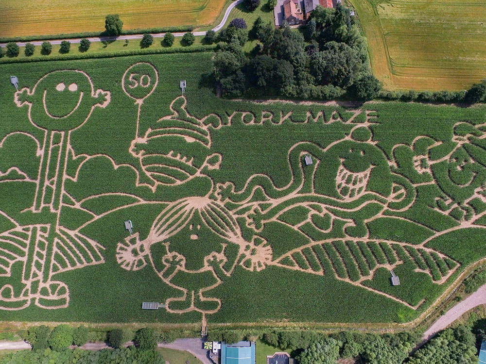 It’s been 20 amazing years! How York Maze has grown and grown