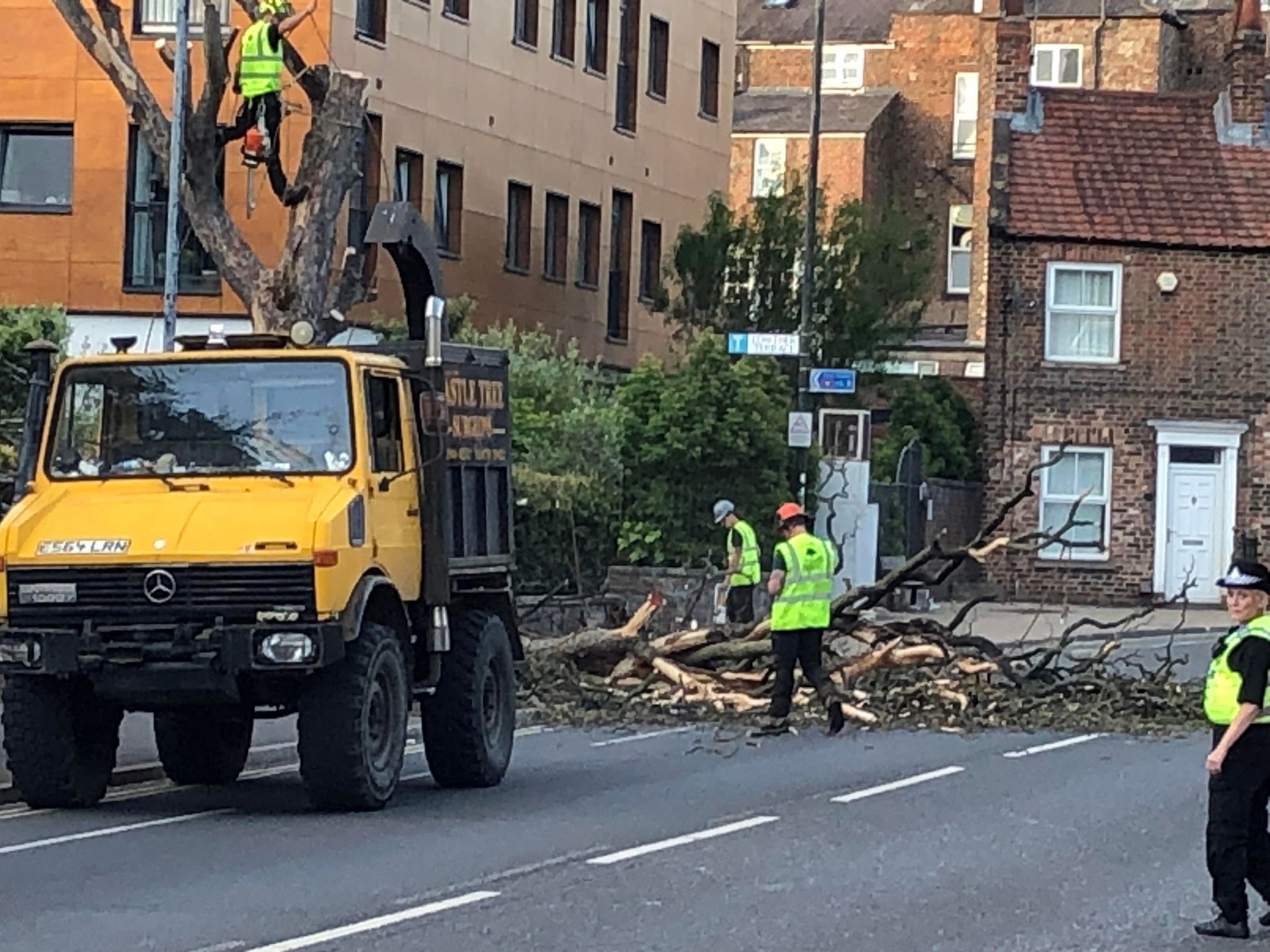 Video: Main road closed so a dead tree could be cut down