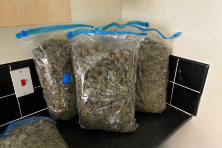 Police raid Selby properties as part of drugs and money laundering investigation