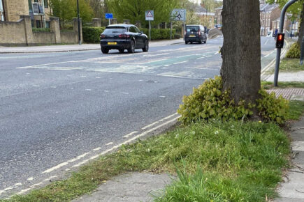 Grass cutting “disgrace” blamed on “massive” staff recruitment problem
