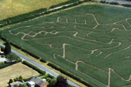 Watch: Crowds are flocking to this roarsome maze this summer