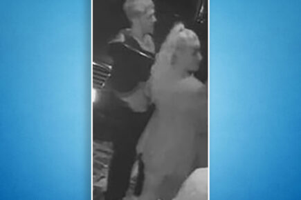 Woman pushed down the stairs in York bar – Police release CCTV