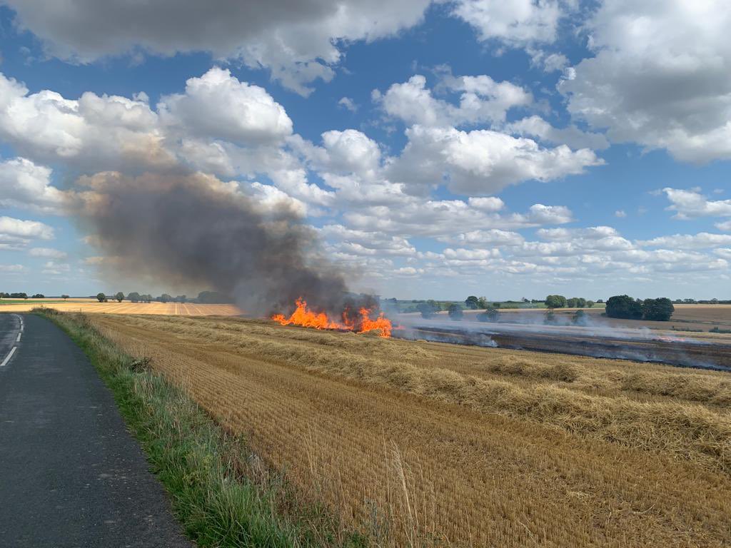 Field full of straw on fire