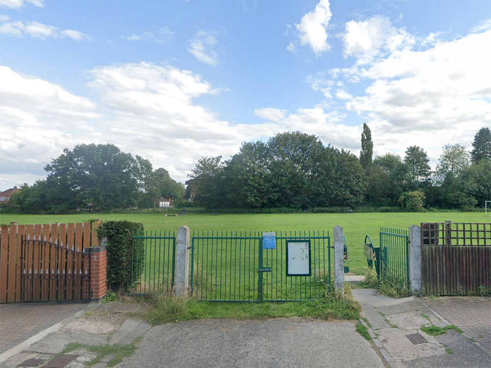 Tree deliberately set on fire in York