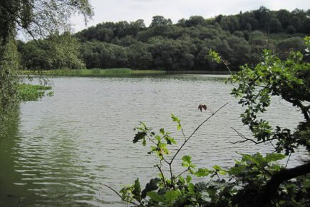 Crews from five fire stations tackle lakeside blaze in North Yorkshire beauty spot