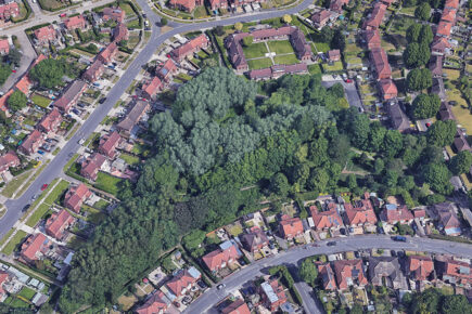 Fire in York wooded area started deliberately
