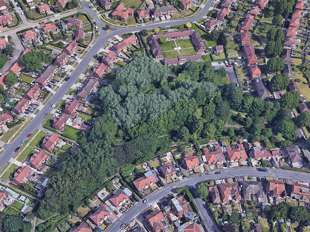 Fire in York wooded area started deliberately
