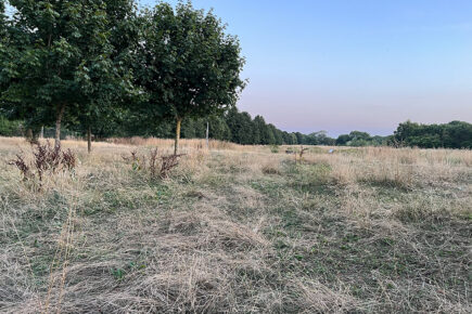 Drought officially declared in Yorkshire