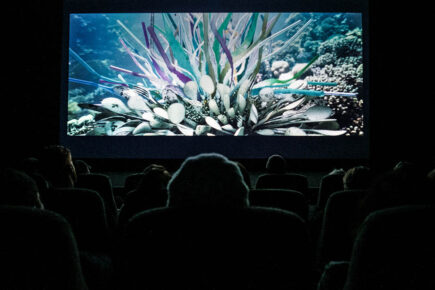 Top 10 things to look forward to at York’s Aesthetica Film Festival 2022
