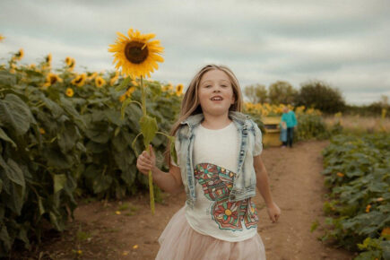 Unique sunflower experience launched by popular family attraction near York