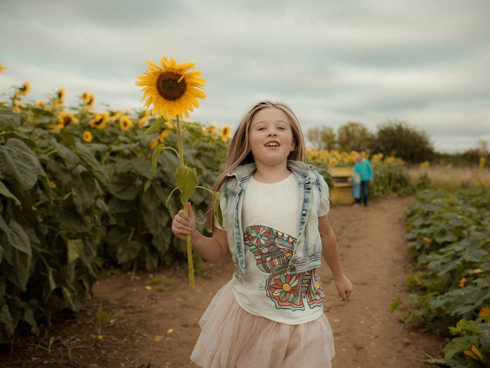 Unique sunflower experience launched by popular family attraction near York