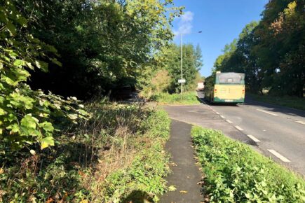 York woods next to layby fenced off to prevent dogging and cruising