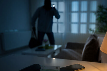 Attempted break-ins and burglary alarm residents in York village