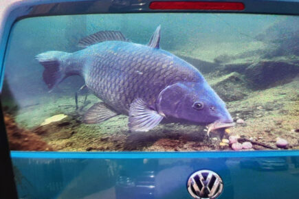 Have you seen the fish van? Police search for distinctive VW stolen from Selby