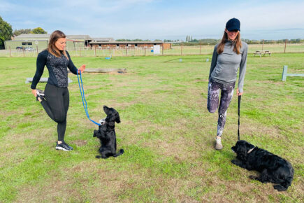 York’s first doggercise classes launched – where you can keep fit with your four-legged friend