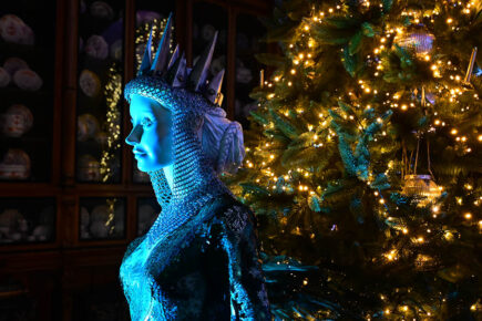 First look: Video and 12 pictures of Castle Howard’s magical fairytale Christmas experience