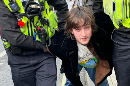 ‘Totally unacceptable’: Green Party leader slams former candidate suspected of throwing eggs at the King