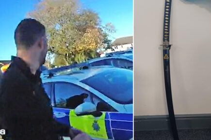 Samurai sword seized by police during drugs raid on Northallerton property