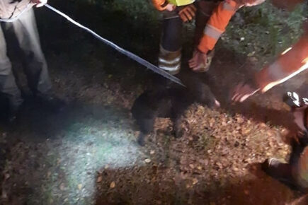 Rescue operation launched after man and his dog fall down ravine
