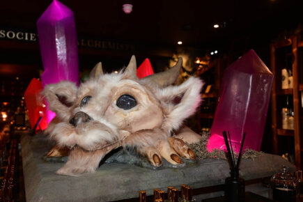 Pictures: Fantasy movies inspire ‘theatrical’ shop about to open on York’s Shambles