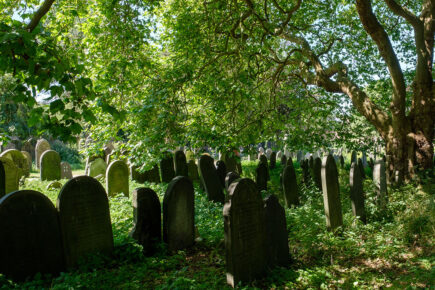 Man rescued after being locked in a cemetery in York